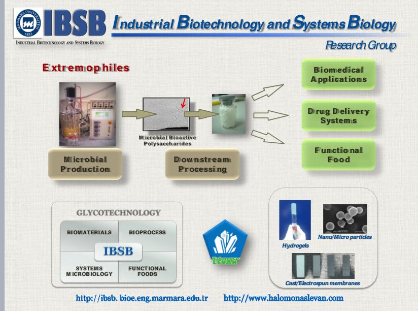 IBSB  graphical abstract.jpeg (73 KB)