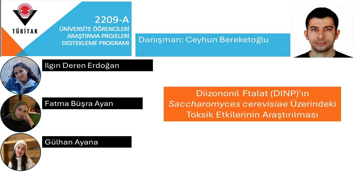 2209-A Üniversite Öğrencileri Araştırma Projeleri Destekleme Programı