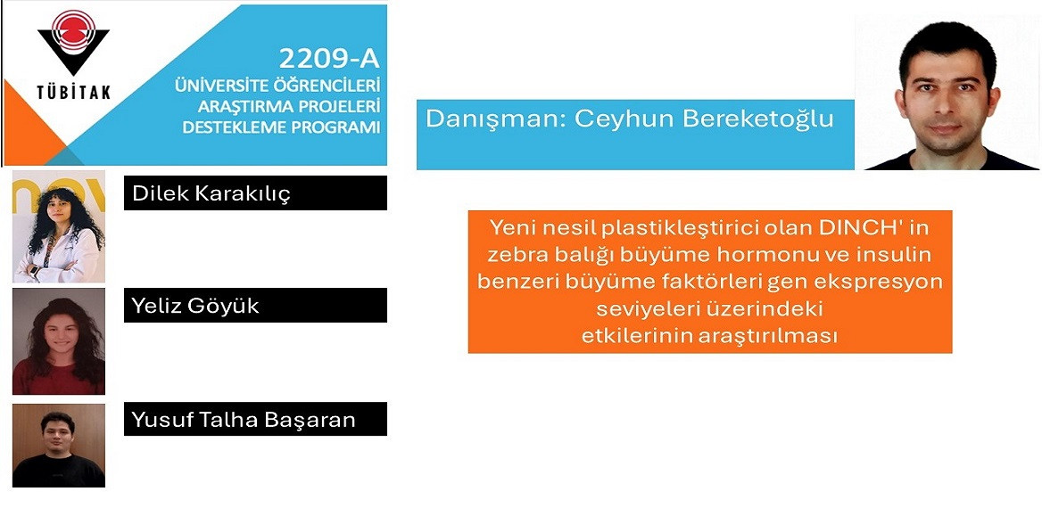 2209-A Üniversite Öğrencileri Araştırma Projeleri Destekleme Programı